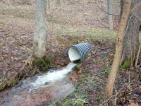 IMG_20231228_145539 (1024x768).jpg